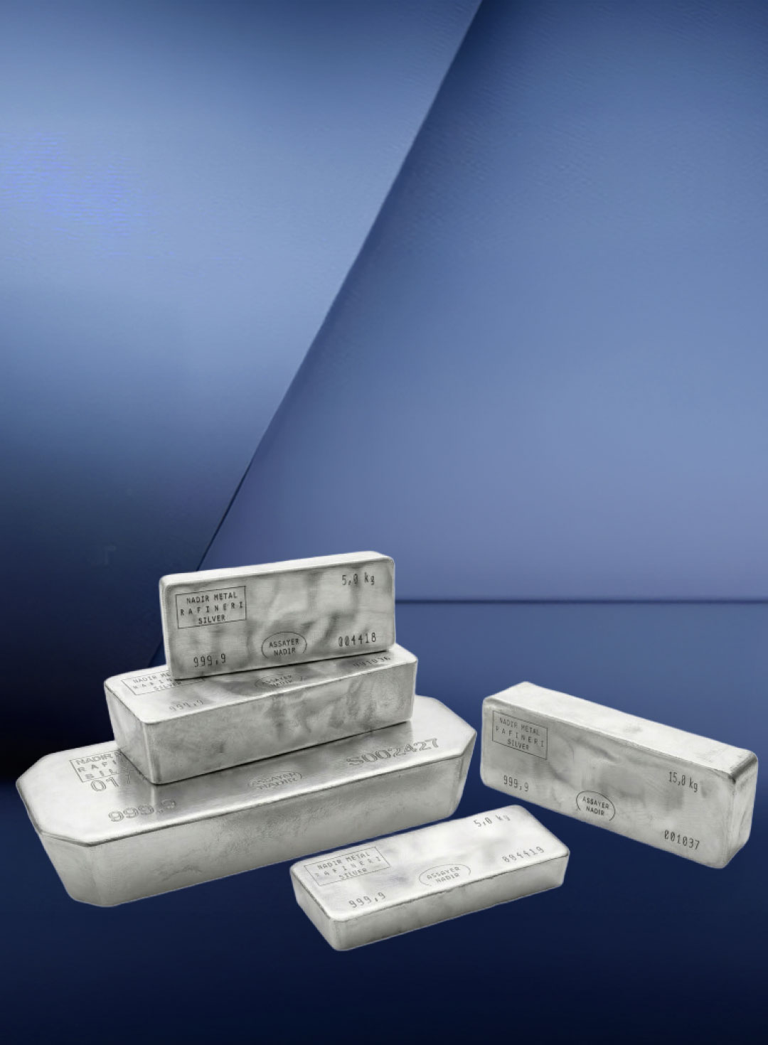 Slide Image